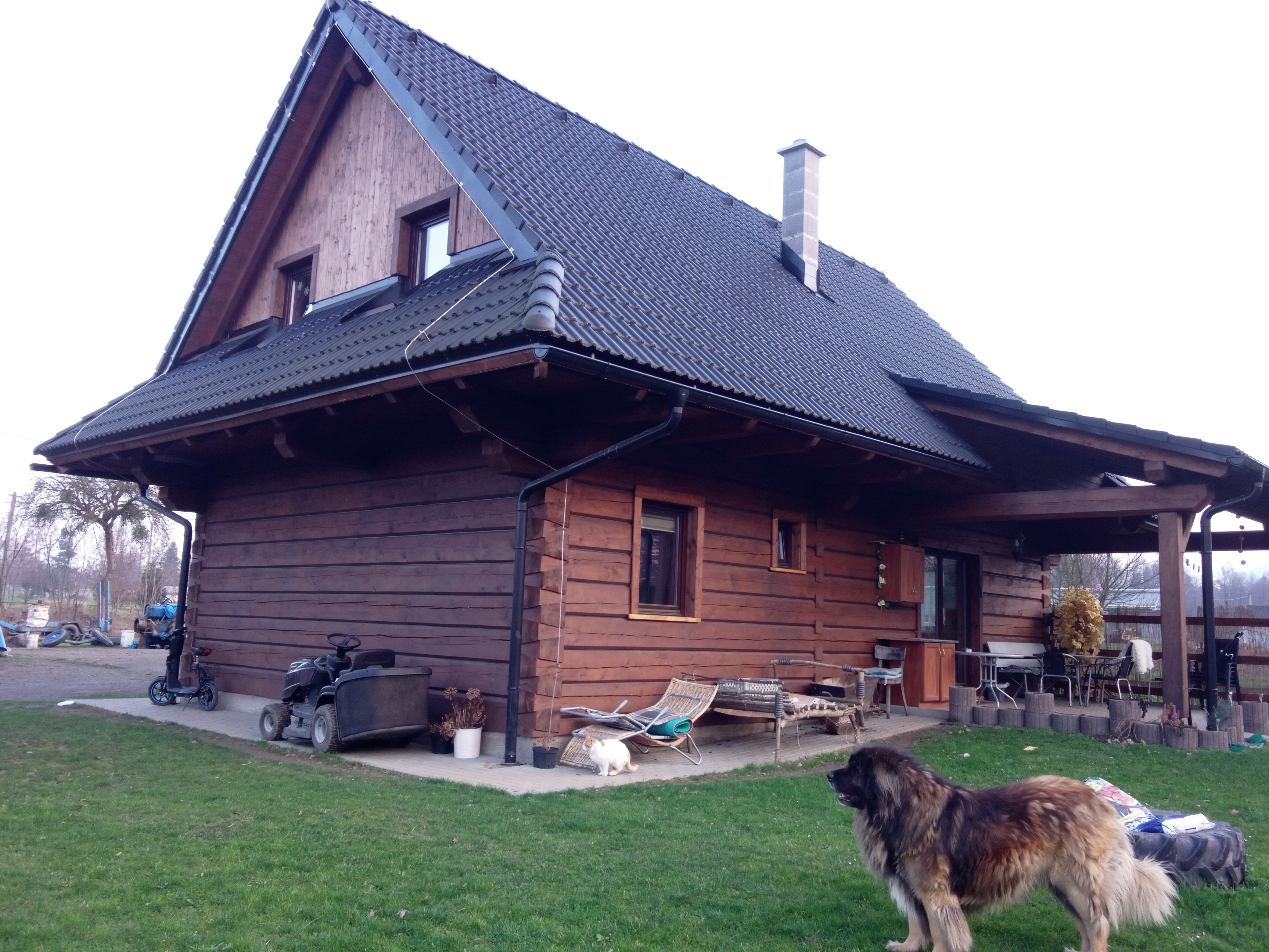 Foto
